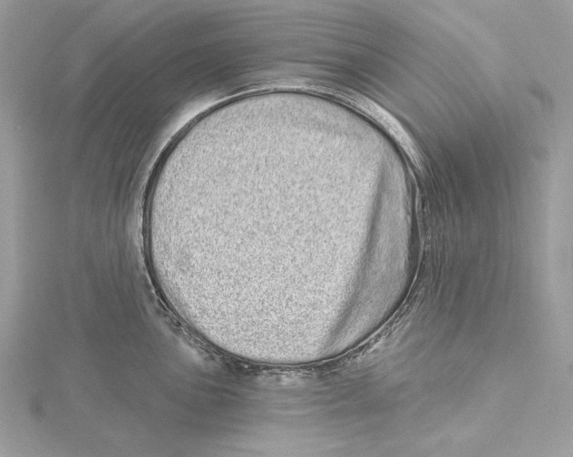 X0000115521051200912040925