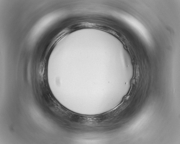 X0000115521052200912040925