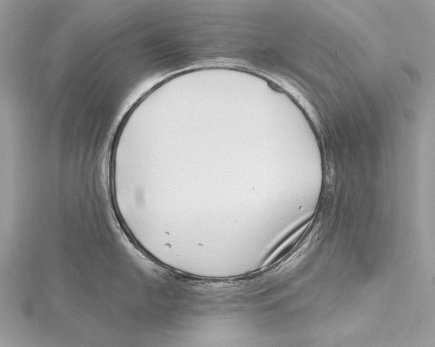 X0000115521054200912040925