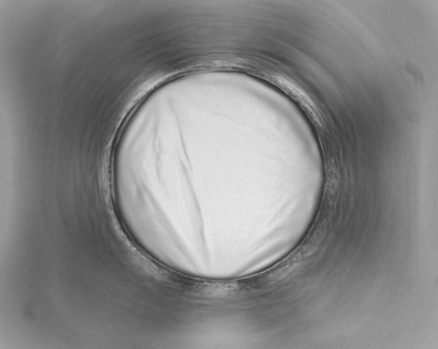 X0000115521055200912040925