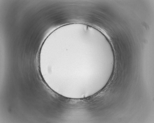 X0000115521056200912040925