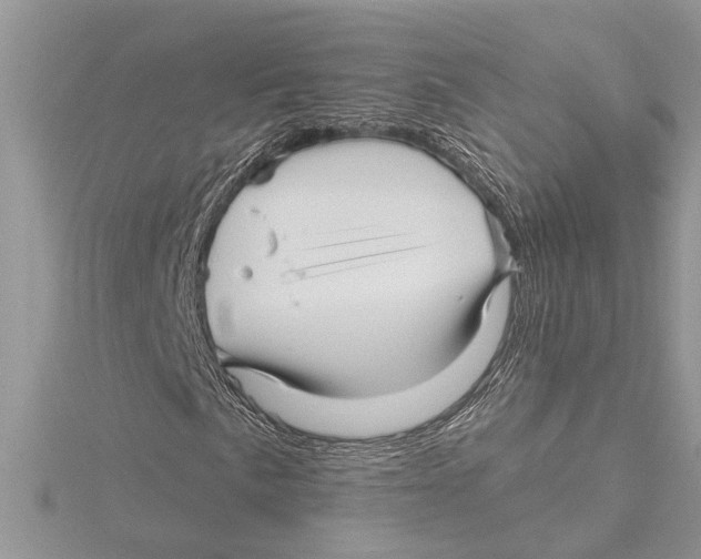 X0000115521057200912040924