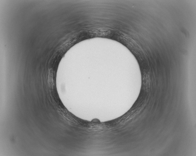 X0000115521058200912040924