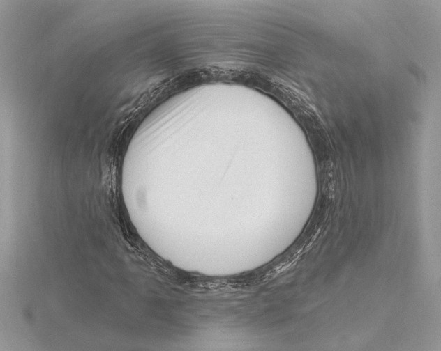 X0000115521061200912040924