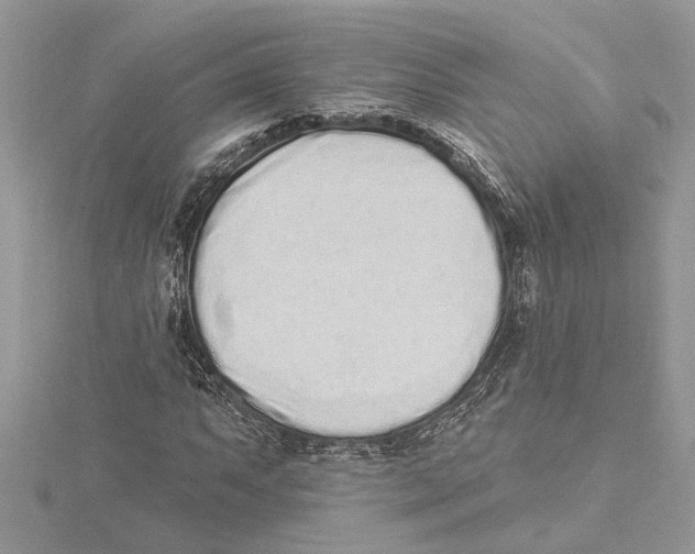 X0000115521063200912040924