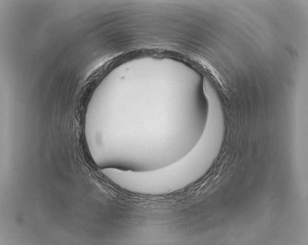 X0000115521064200912040924