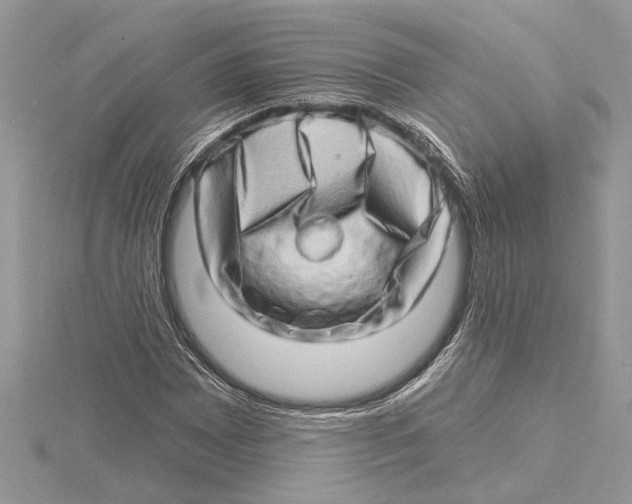 X0000115521065200912040924