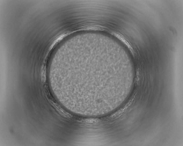 X0000115521067200912040924