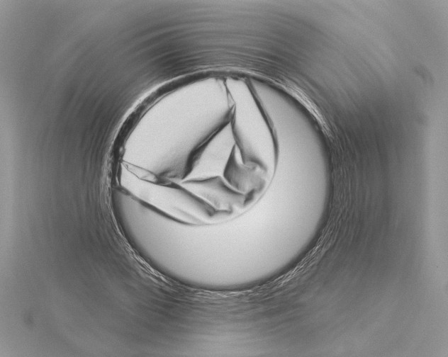 X0000115521068200912040924