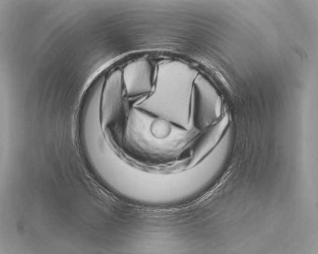 X0000115521069200912040924