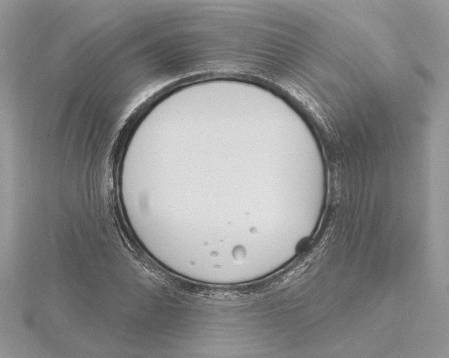 X0000115521070200912040924