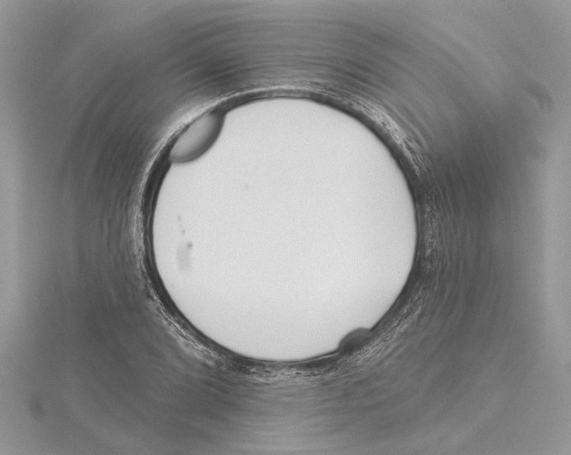 X0000115521072200912040924