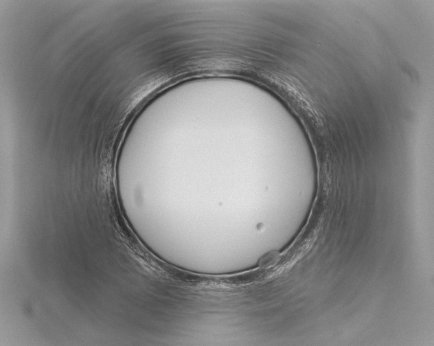 X0000115521073200912040924