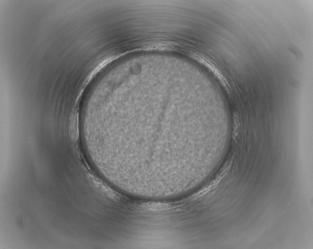 X0000115521075200912040924