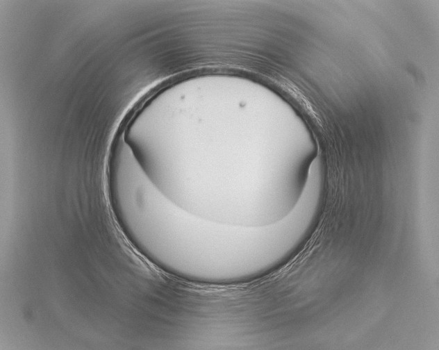 X0000115521076200912040924