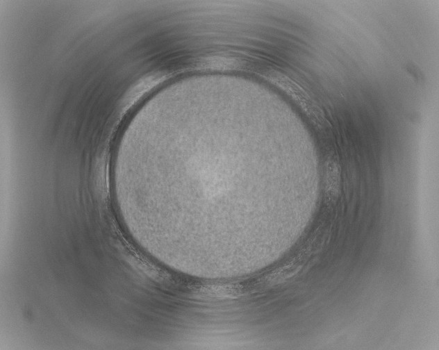 X0000115521078200912040924