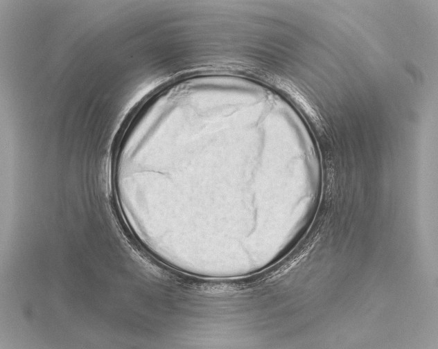 X0000115521079200912040924