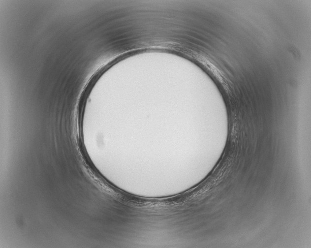 X0000115521080200912040924