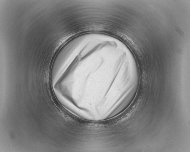 X0000115521081200912040924