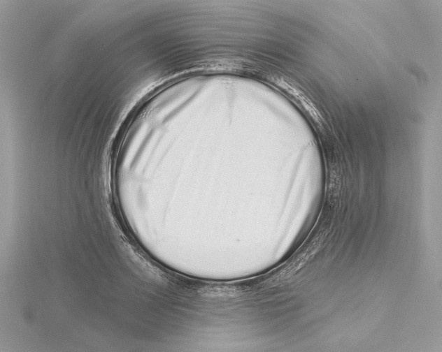 X0000115521083200912040924