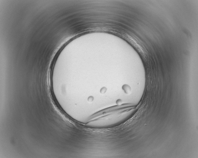 X0000115521084200912040924