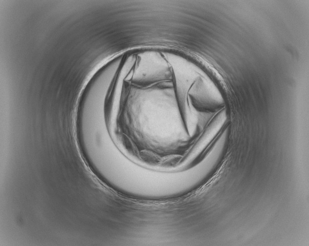 X0000115521085200912040924