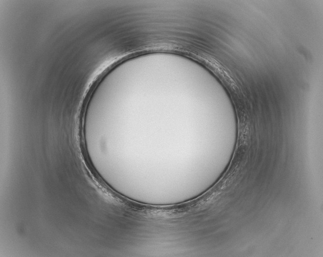 X0000115521086200912040924