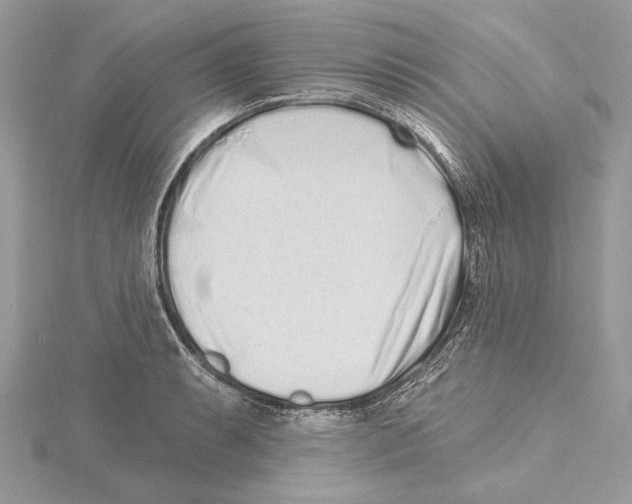 X0000115521087200912040924