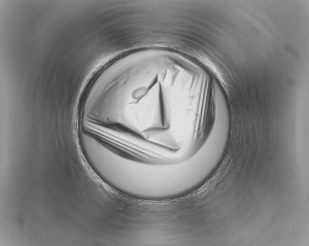 X0000115521088200912040924