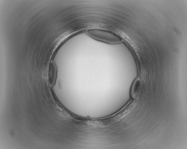 X0000115521089200912040923