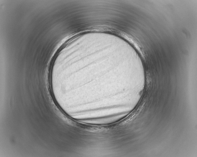 X0000115521091200912040923