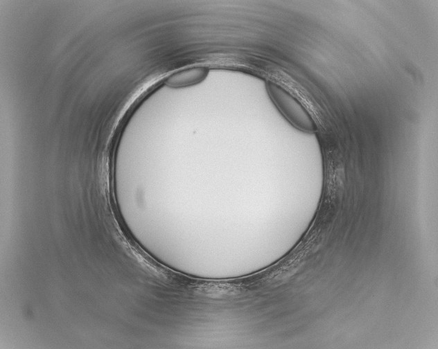 X0000115521092200912040923