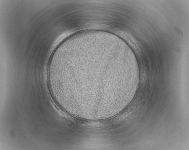 X0000115521094200912040923