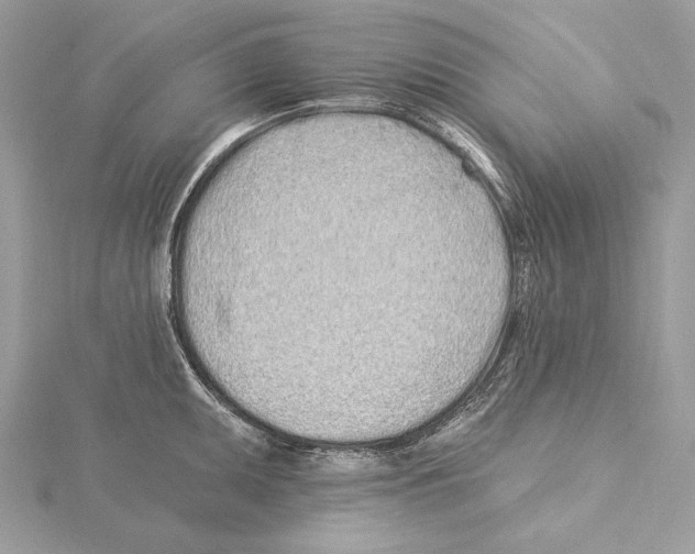 X0000115521095200912040923