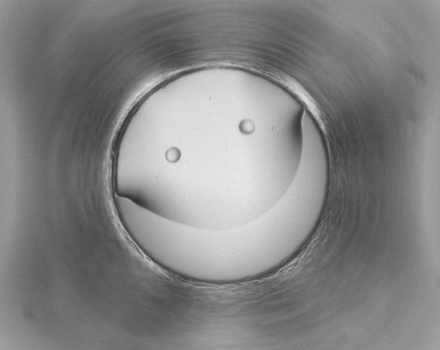 X0000115521096200912040923