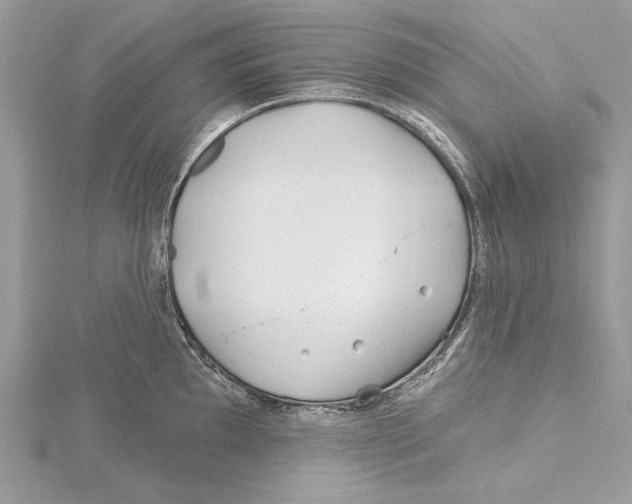 X0000115521097200912040923