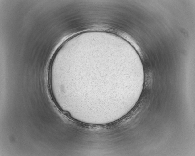 X0000115521099200912040923