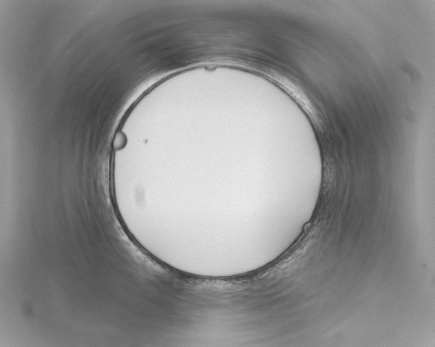 X0000115521100200912040923