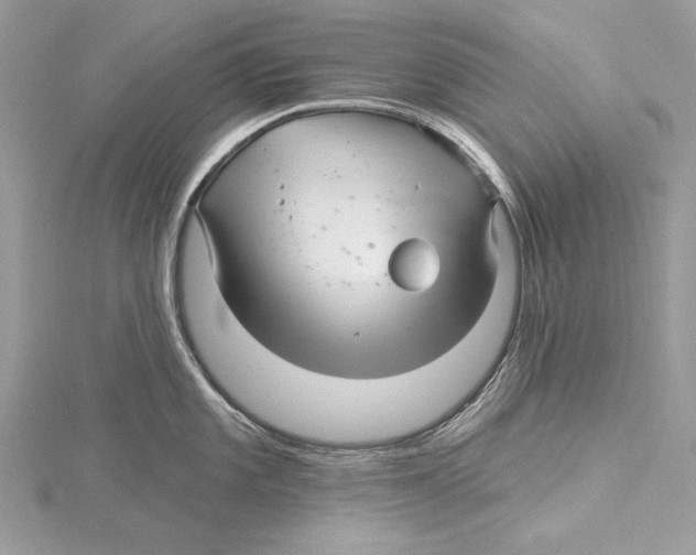 X0000115521101200912040923