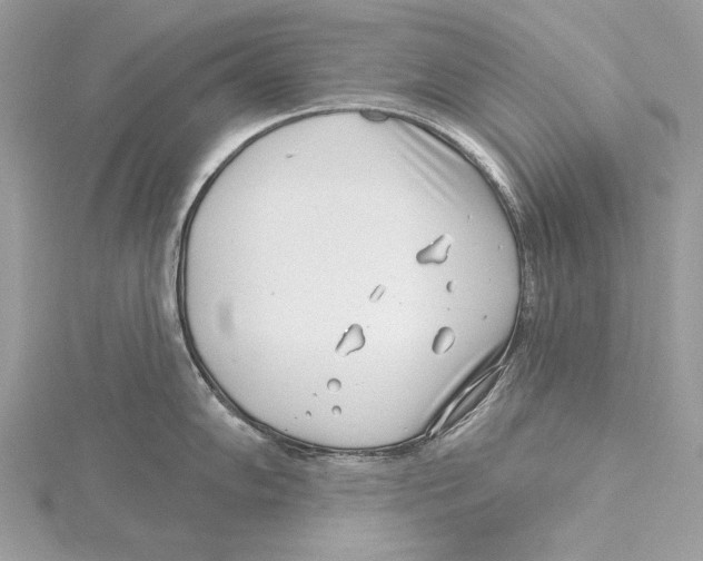 X0000115521102200912040923