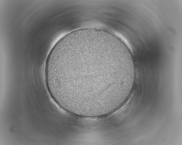 X0000115521103200912040923