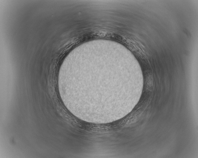 X0000115521105200912040923