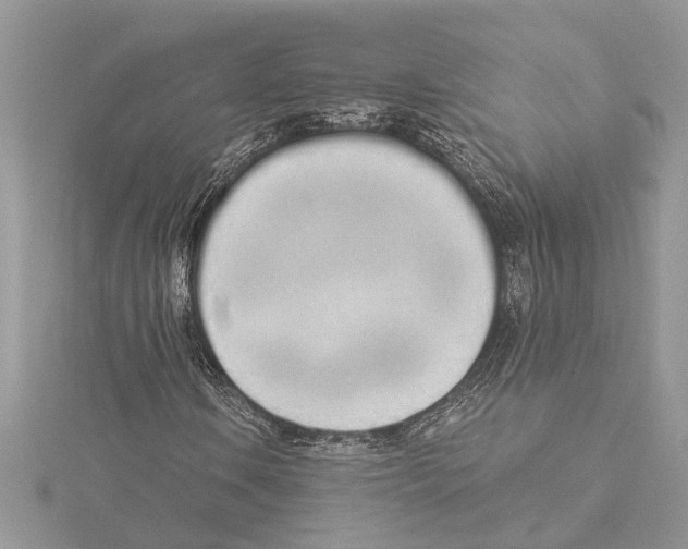 X0000115521106200912040923