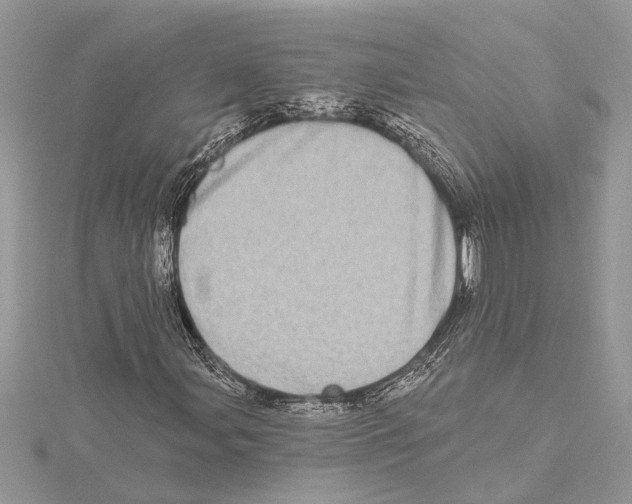 X0000115521107200912040923