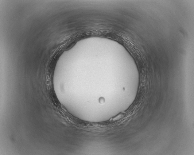 X0000115521109200912040923