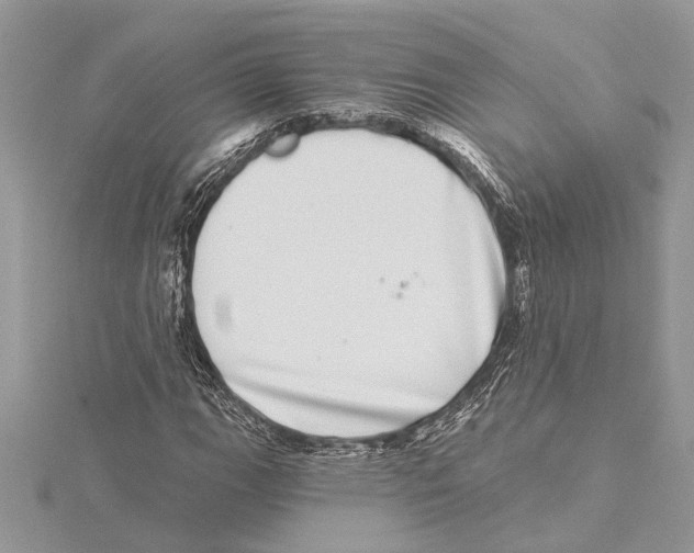 X0000115521111200912040923