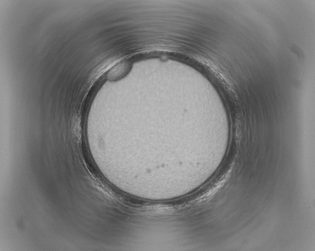 X0000115521113200912040923