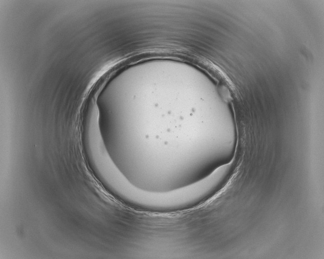 X0000115521114200912040923