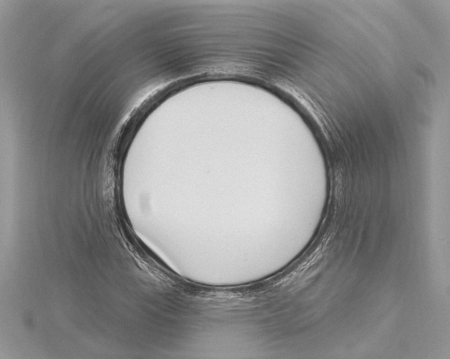 X0000115521115200912040923