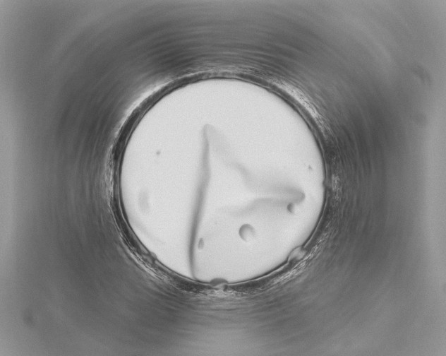 X0000115521119200912040923